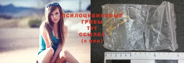 дживик Алзамай