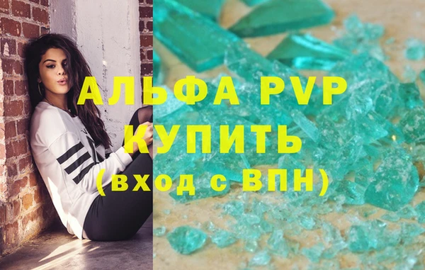 стаф Алексин
