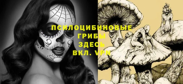дживик Алзамай