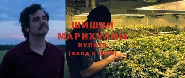 гашик Арсеньев