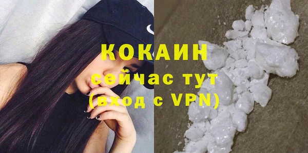 гашик Арсеньев