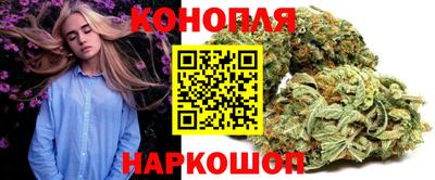 a pvp Обь