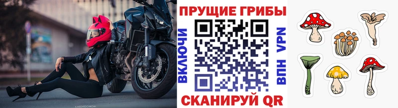 Галлюциногенные грибы ЛСД Чернушка