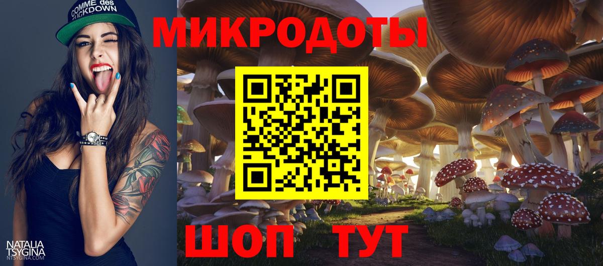 Псилоцибиновые грибы Psilocybine cubensis Чернушка