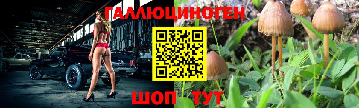 цена   Псилоцибиновые грибы MAGIC MUSHROOMS  Вход с VPN  Чернушка 